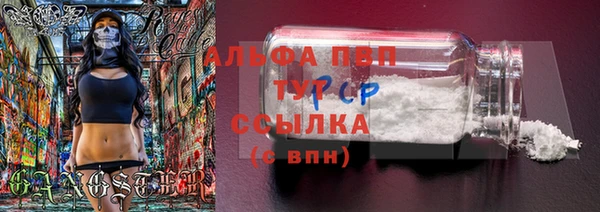 соль ск Пересвет